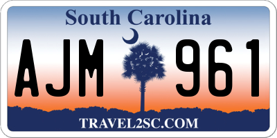 SC license plate AJM961