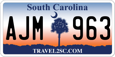 SC license plate AJM963