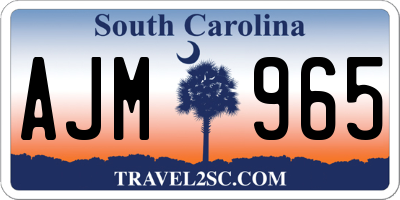 SC license plate AJM965