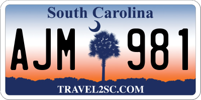 SC license plate AJM981