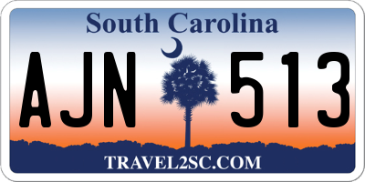 SC license plate AJN513