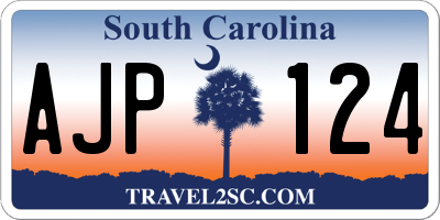 SC license plate AJP124