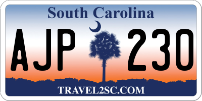 SC license plate AJP230
