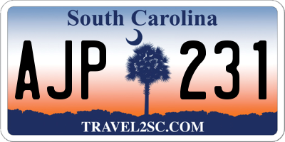 SC license plate AJP231