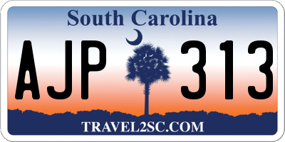 SC license plate AJP313
