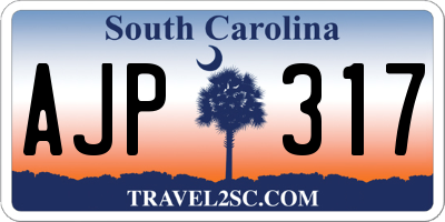 SC license plate AJP317