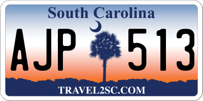 SC license plate AJP513
