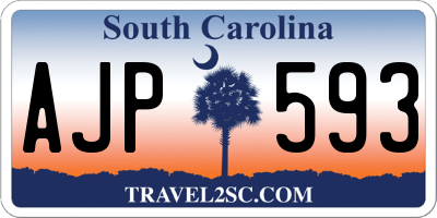 SC license plate AJP593