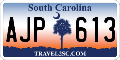 SC license plate AJP613