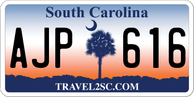 SC license plate AJP616