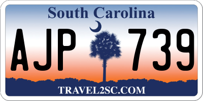 SC license plate AJP739