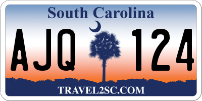 SC license plate AJQ124