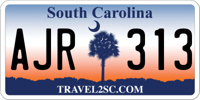 SC license plate AJR313