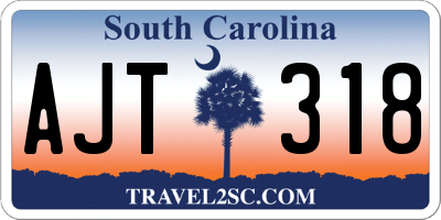 SC license plate AJT318