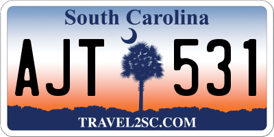 SC license plate AJT531