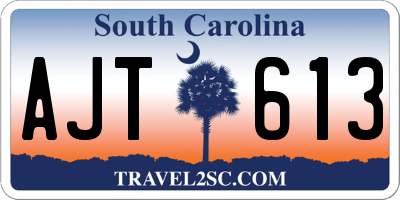 SC license plate AJT613