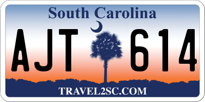 SC license plate AJT614