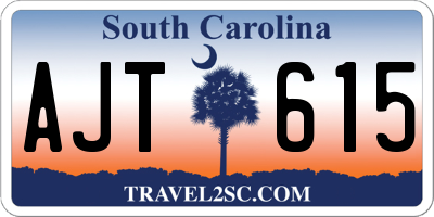 SC license plate AJT615