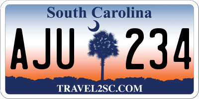 SC license plate AJU234