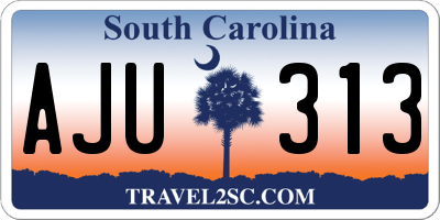 SC license plate AJU313