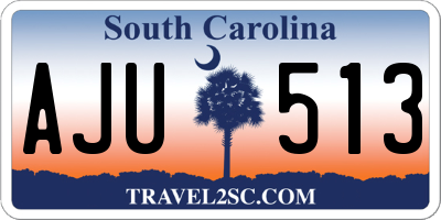 SC license plate AJU513
