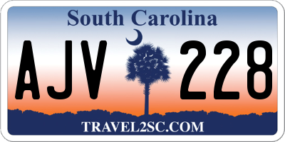 SC license plate AJV228