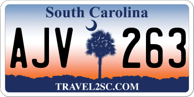 SC license plate AJV263