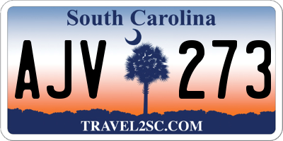 SC license plate AJV273