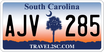 SC license plate AJV285
