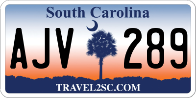SC license plate AJV289