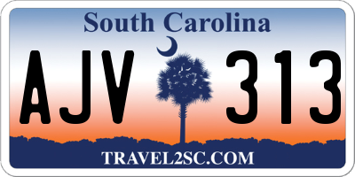 SC license plate AJV313