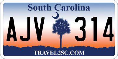 SC license plate AJV314