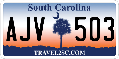 SC license plate AJV503