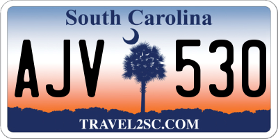 SC license plate AJV530
