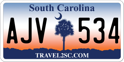 SC license plate AJV534