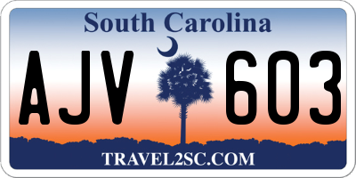 SC license plate AJV603