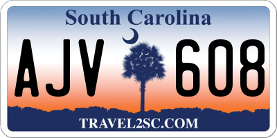 SC license plate AJV608