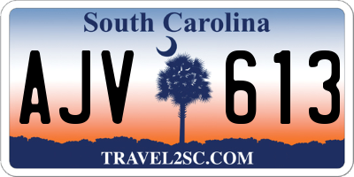 SC license plate AJV613