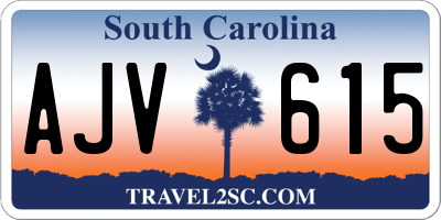 SC license plate AJV615