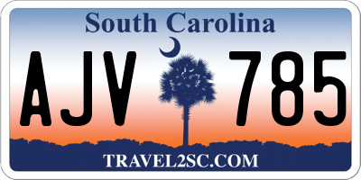 SC license plate AJV785