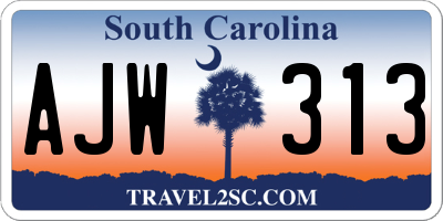 SC license plate AJW313
