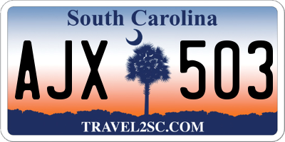 SC license plate AJX503