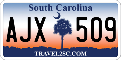 SC license plate AJX509