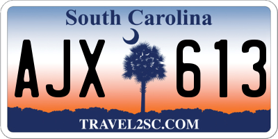 SC license plate AJX613