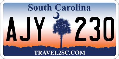 SC license plate AJY230