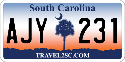 SC license plate AJY231