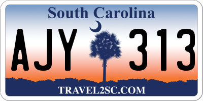 SC license plate AJY313