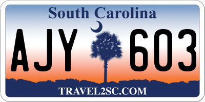 SC license plate AJY603