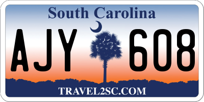 SC license plate AJY608