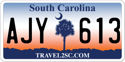 SC license plate AJY613